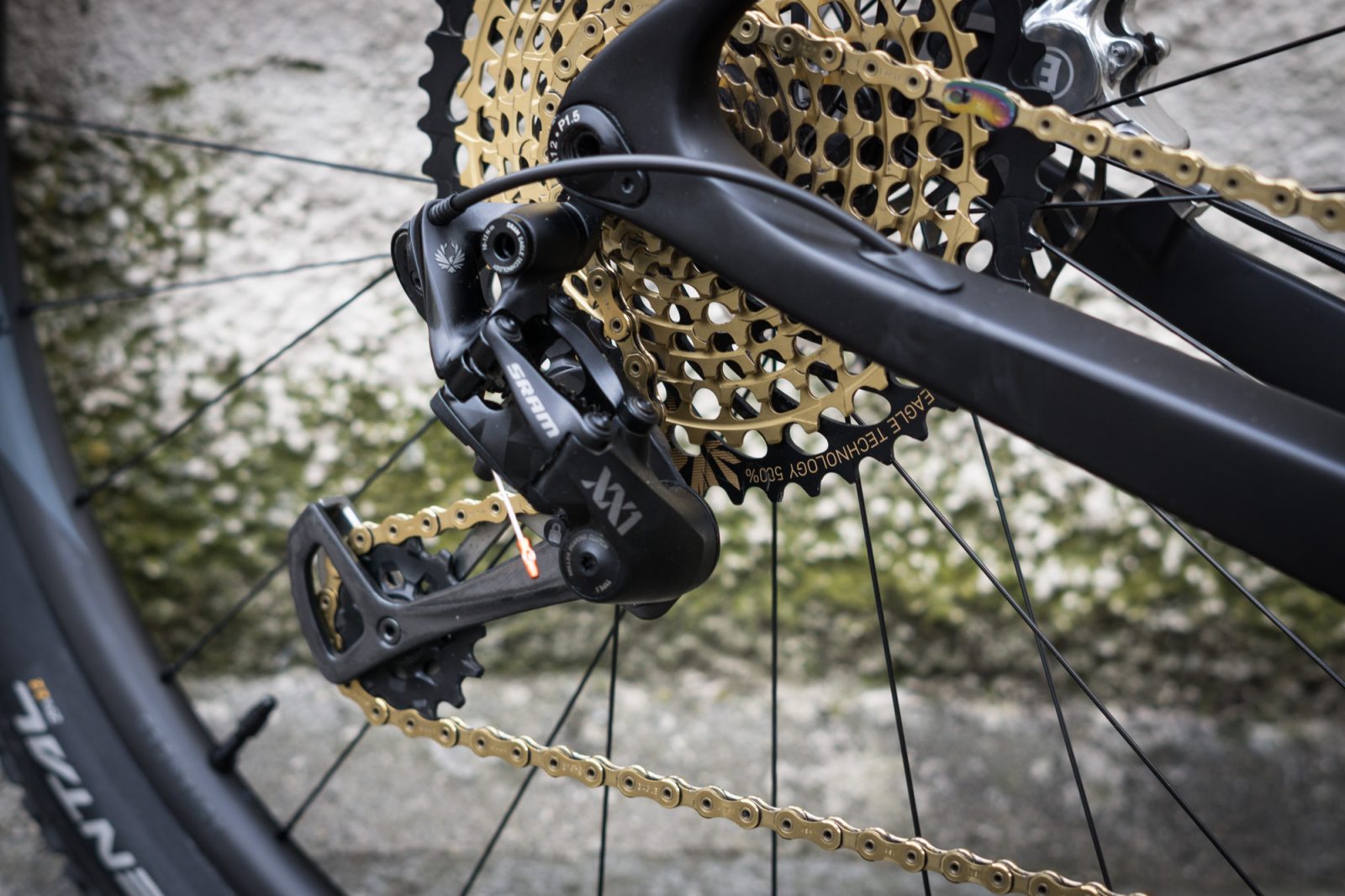 VPACE C3M 8 kg 29er xx1