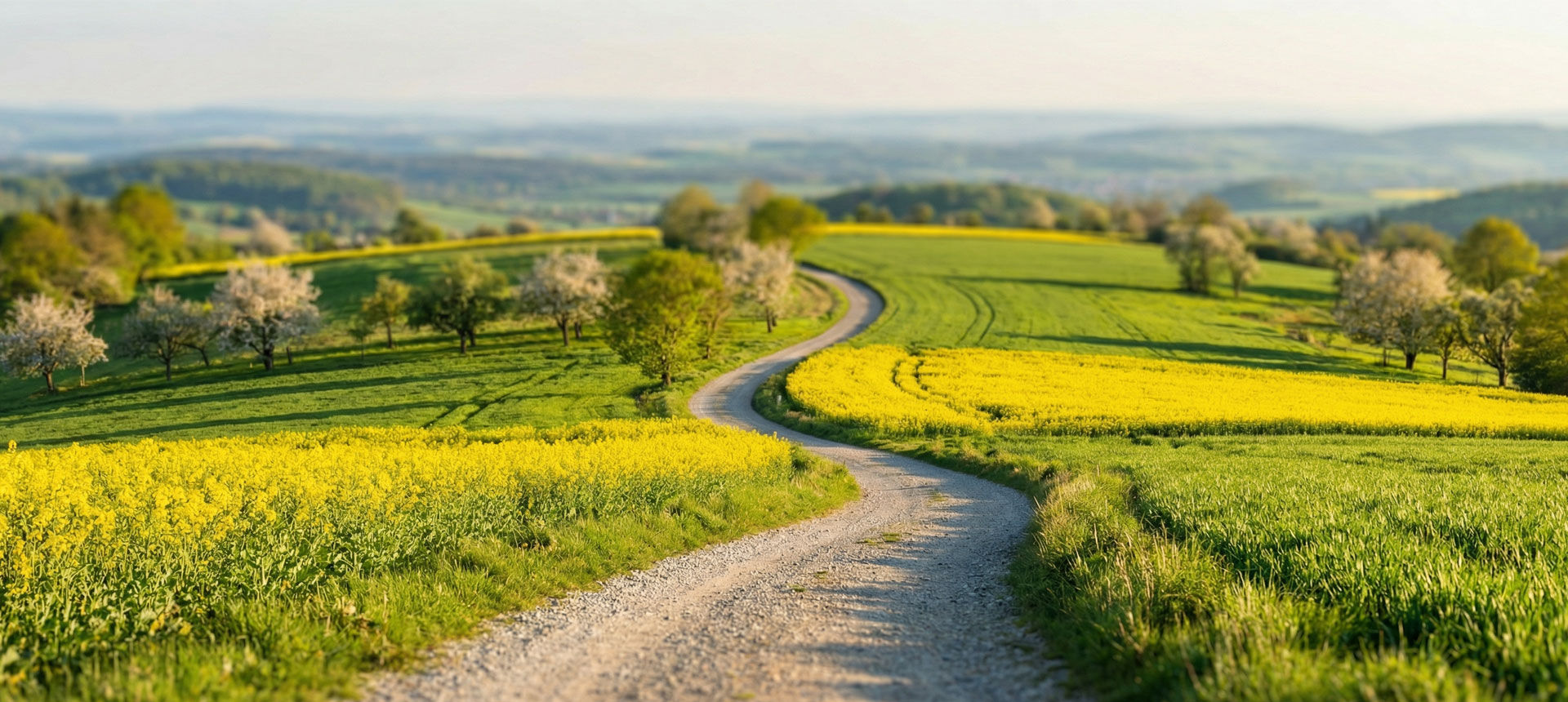 Gravel & Road Bike background