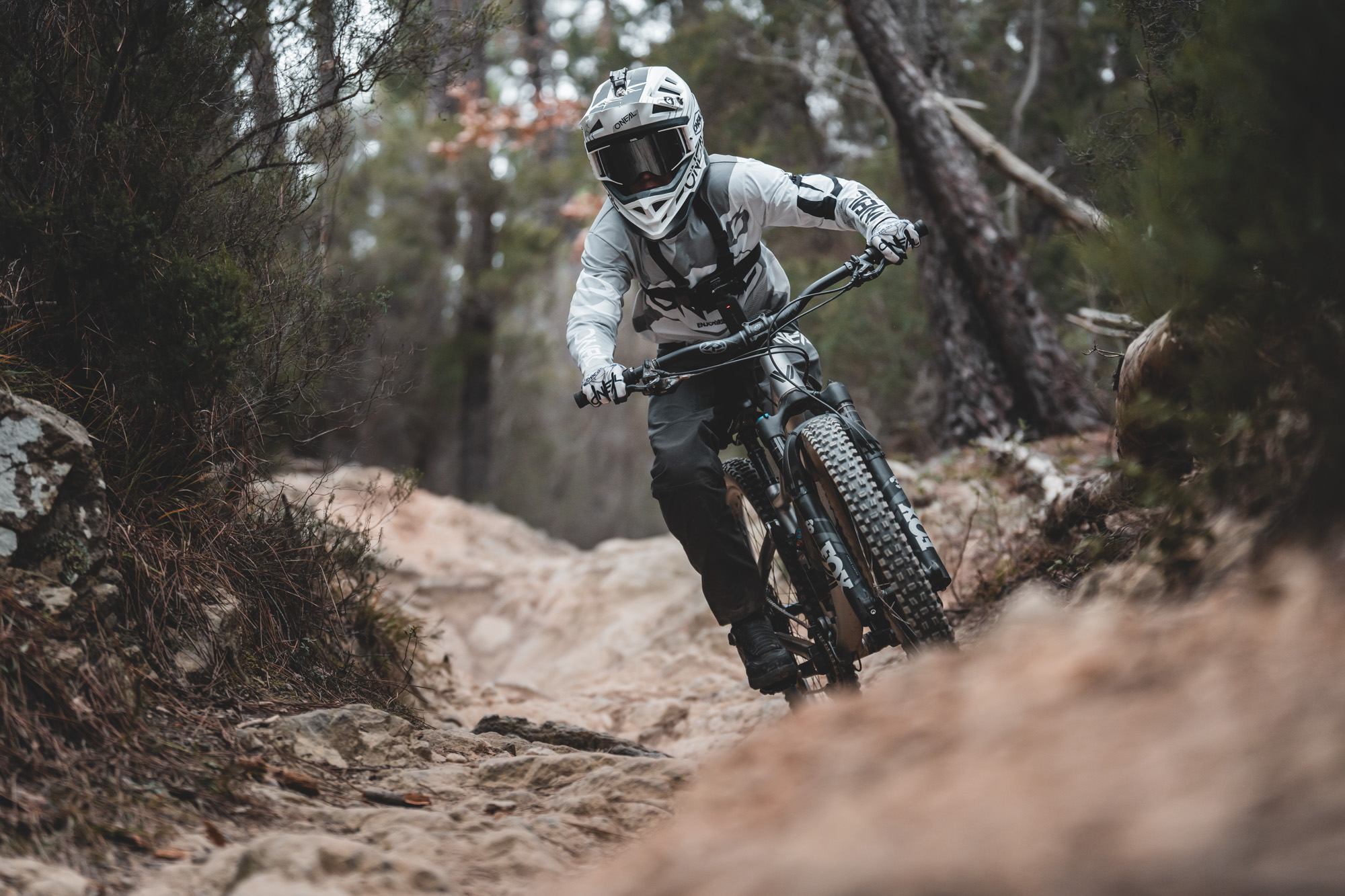 FRED275 Children’s Downhill Bike