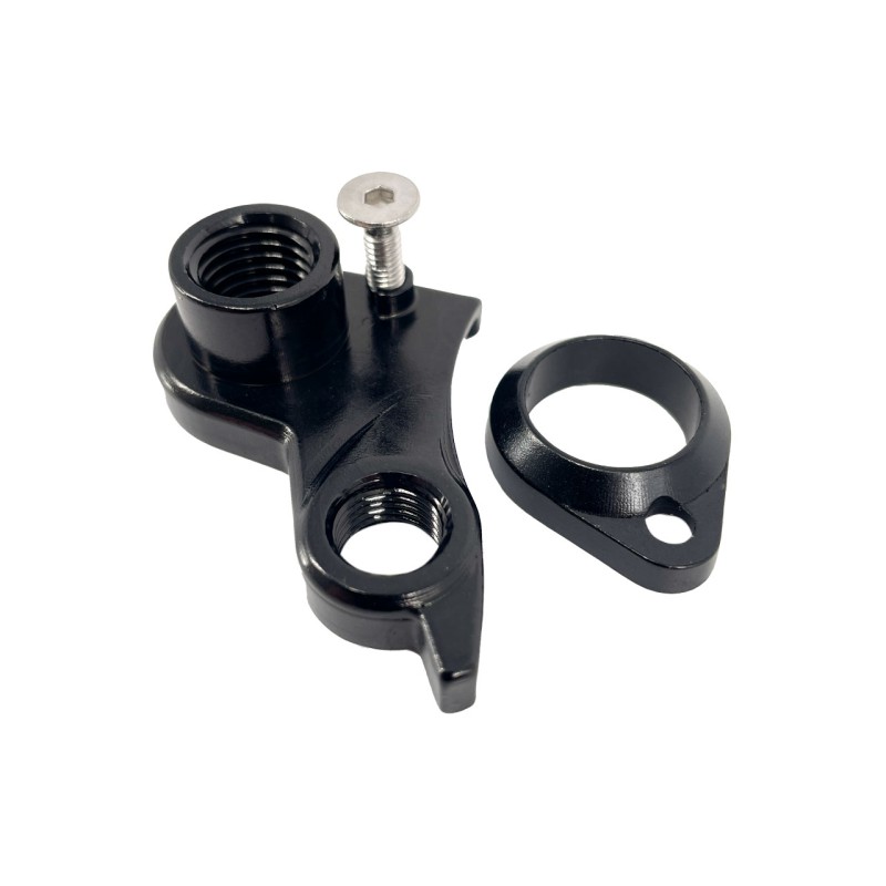 Derailleur hanger VPACE carbon frame