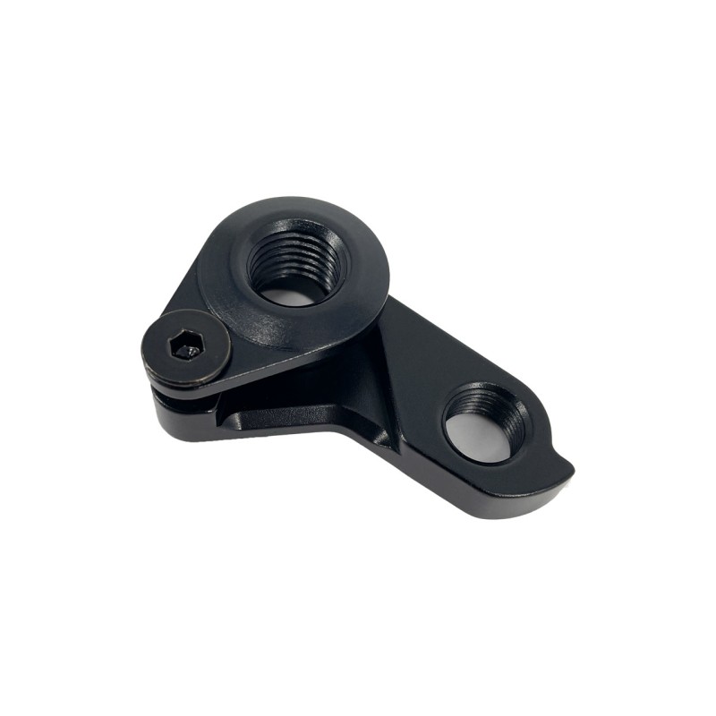 Derailleur hanger VPACE carbon frame