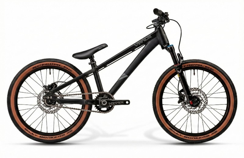 Danny20 Kids Dirt Jumper