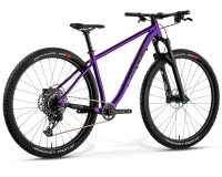 Matz29L Youth Mountain Bike