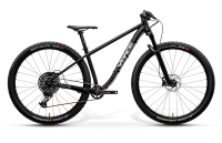 Matz29L Jugend Mountainbike