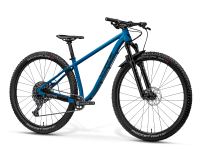 Matz29