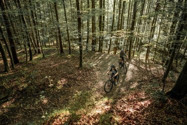 Matz29L Youth Mountain Bike