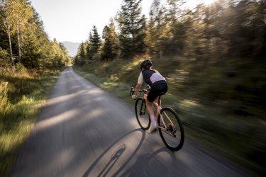 MICHL28 Road Special