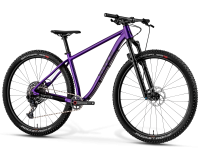 Matz29L Youth Mountain Bike