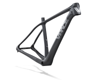 C4M 29er Carbonrahmen