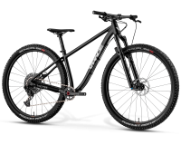 Matz29L Jugend Mountainbike