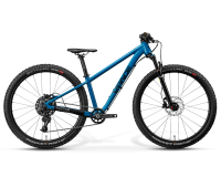 Hardtail mountain bike