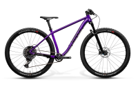 Matz29L Youth Mountain Bike