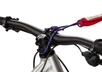 stem-hook-towwhee