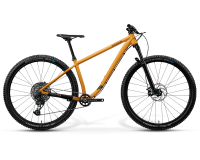 MATTI29L Jugend Trail-Mountainbike